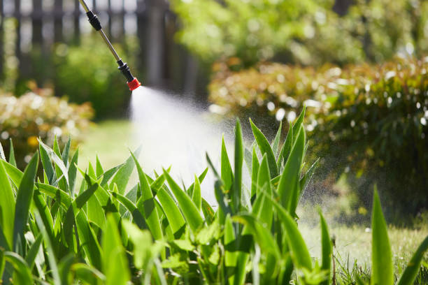 24/7 Emergency Mosquito Control experts in Elkhart, IN
